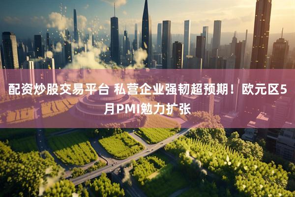 配资炒股交易平台 私营企业强韧超预期！欧元区5月PMI勉力扩张